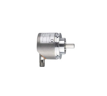 RV3100 Image
