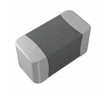 NTCG163JF103HTDS Image