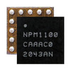 NPM1100-CAAA-E-R Image