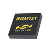 BGM121N256V2 Image