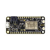 ICR-FTHR-FTDI2 Image