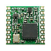 RFM95W-915S2 Image